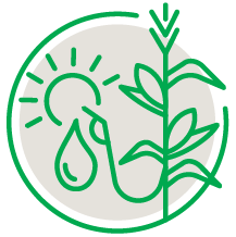 renewable energy icon with sun, drop of water and stalk